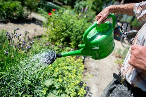 29 May 2018, Germany, Hanover: A man waters the flowers in his garden. The continuing drought leads to an increasing water consumption in Lower Saxony. Photo: Hauke-Christian Dittrich\/