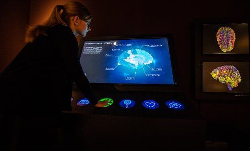 26 June 2018, Muenster, Germany: The exhibition opening of "Das Gehirn - Intelligenz, Bewusstsein, Gefühl" (lit. "The Brain - Intelligence, Consciousness and Feelings") at the LWL Museum for Natural Sciences. Photo: Guido Kirchner\/