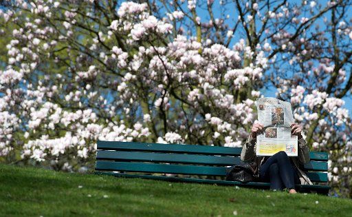 A woman reads a newspaper on a bench in front of blooming Magnolias in a park in Duesseldorf, Germany, 20 March 2014. Spring started unusually warm. The Deutscher Wetterdienst (lit. German Meteorological Service) forecast temperatures of up to 24 ...