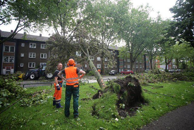 Municipal staff clear the pedestrian ways and streets off uprooted trees in Recklinghausen, Germany, 10 June 2014. Emergency and rescue services were continuously in operation due to the recent storm. Photo: Marcel Kusch\/