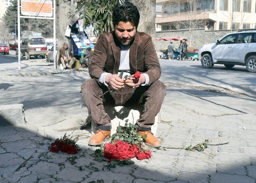 Rohullah, 29, a flower vendor is peeling off the thorns from roses for Valentine\