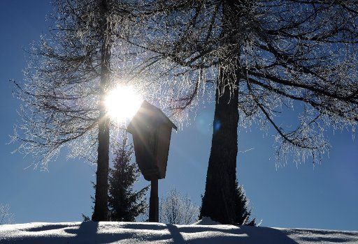 The sun shines bright through snow covered tree near Mittenwald, Germany, 12 February 2015. Photo: Angelika Warmuth\/