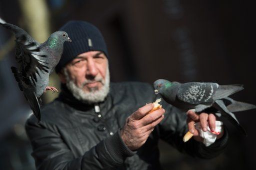 Mahmud Alobaydi feeds a pigeon in Stuttgart, Germany, 30 January 2015. Alobaydi has a heart for animals and is especially fond of bords and pigeons. Photo: Marijan Murat\/