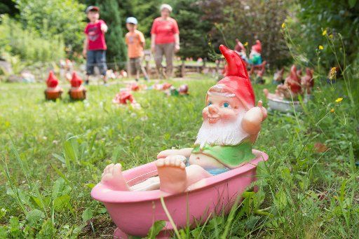 Garden gnomes in a meadow at the Zwergen-Park Trusetal (Gnome Park) in Trusetal, Germany, 17 July 2015. The park celebrats its 19th anniversary on 18 and 19 July. Photo: Sebastian Kahnert\/