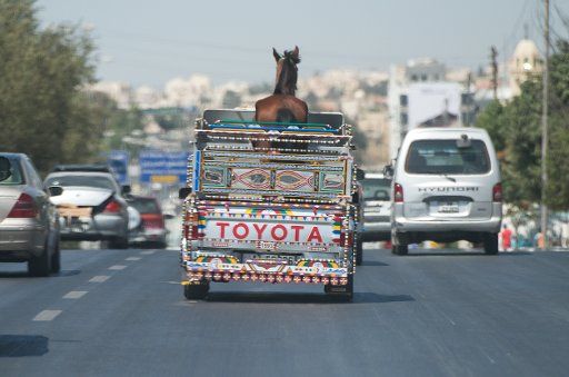 A horse in a colourful truck passes through the centre of Amman, Jordan, 22 September 2015. PHOTO: BERND VON JUTRCZENKA\/