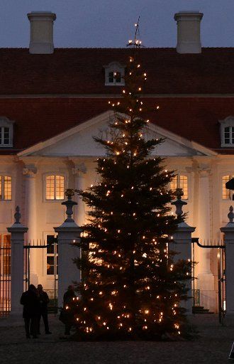 An illuminated Christmas tree stands in front of the guest house of the German government in Meseberg, Germany, 25 November 2015. Photo: Bernd Settnik\/