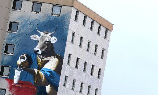 A cow graffiti at a residential home of the dairy school promoting milk consumption, Kempten, Germany, 2 March 2016. Photo: Karl-Josef Hildenbrand\/