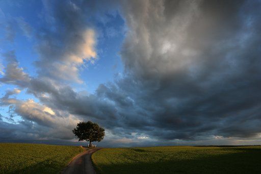 A tree stands underneath a cloudy sky in the prealpine lands near Sachsenried in the Weilheim\/Schongau region, Germany, 21 August 2016. Photo: Karl-Josef Hildenbrand\/