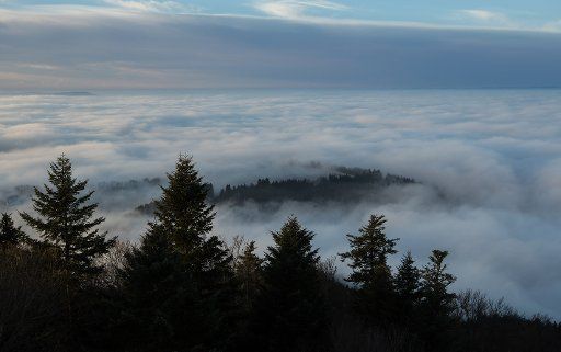 Morning fog forming near Gosheim, Germany, 20 December 2016, with trees seen on a Lemberg hillside. Photo: Silas Stein\/