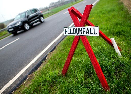 A sign warns drivers of the site of an accident caused by a game animal crossing the road in Wolsdorf, Germany, 12 April 2017. Photo: Hauke-Christian Dittrich\/