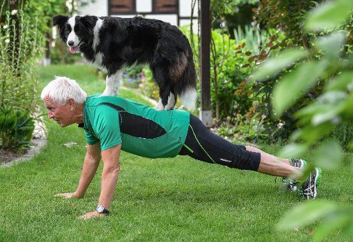 ILLUSTRATION - Jens trains with his Border Collie Tilda in his garden in Sieversdorf, Germany, 14 June 2017. No matter what breed your dog is, followers of the new fitness trend "Dog Squattintg" use the hashtag "#SquatYourDog" to post photographs ...