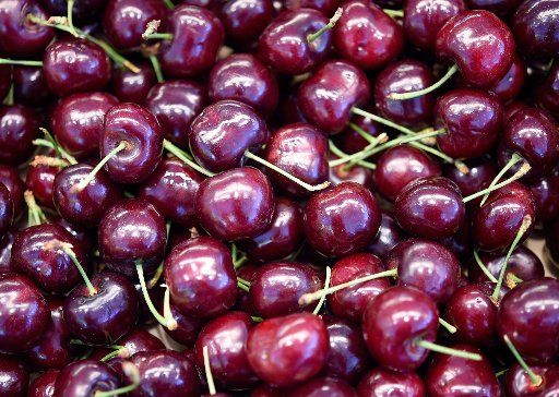 Cherries can be seen at the weekly market in Langenhagen, Germany, 13 June 2017. Photo: Holger Hollemann\/