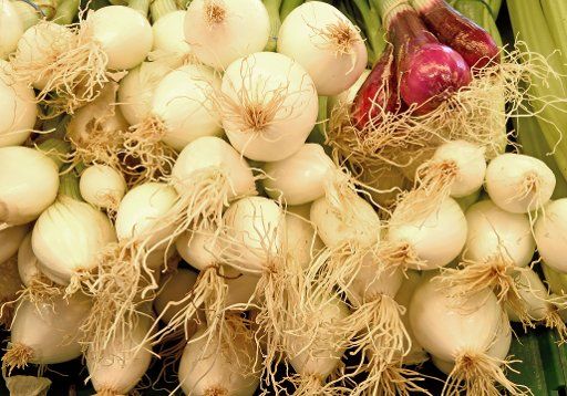 Spring Onions (Allium fistulosum) can be seen at the weekly market in Langenhagen, Germany, 13 June 2017. Photo: Holger Hollemann\/