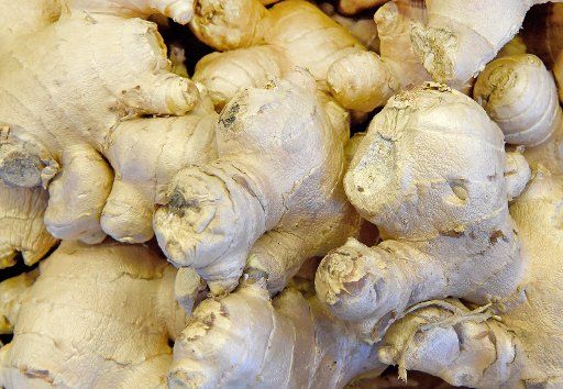 Ginger can be seen at the weekly market in Langenhagen, Germany, 13 June 2017. Photo: Holger Hollemann\/