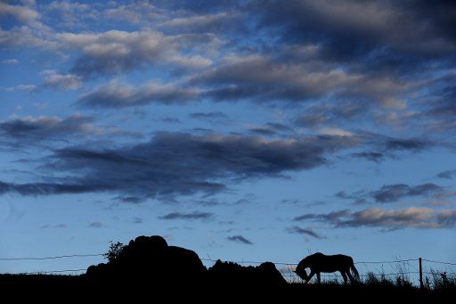 A horse grazes while clouds move across near Fuessen, Germany, 11 July 2017. Photo: Karl-Josef Hildenbrand\/
