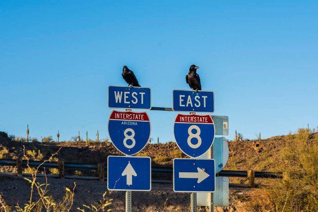 SONORA, ARIZONA: The traffic signs in Arizona-Sonora Desert.
