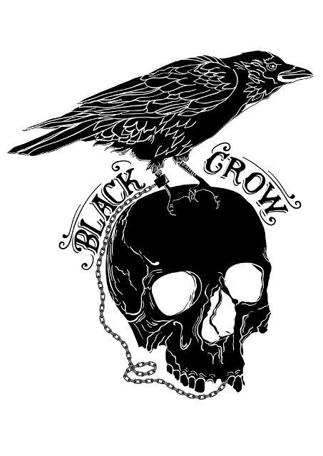 Crow sitting on Skull sketches in black and white colors