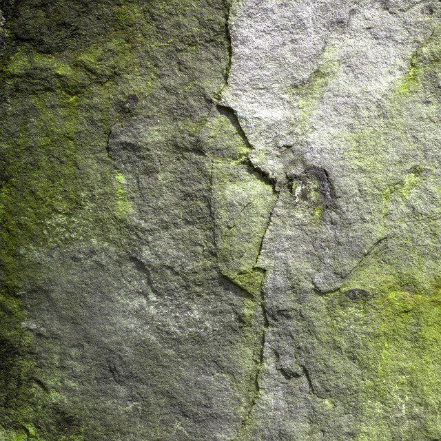 Side view of alien skull in rock background (abstract symbol idea).