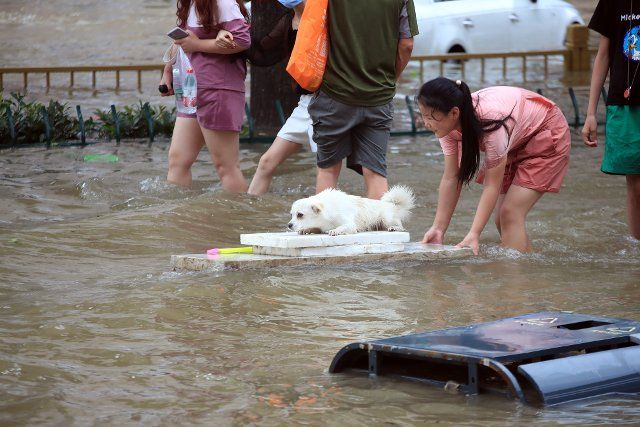 A girl plays with her pet dog in the flooded road after record downpours receded in Zhengzhou city in central China\