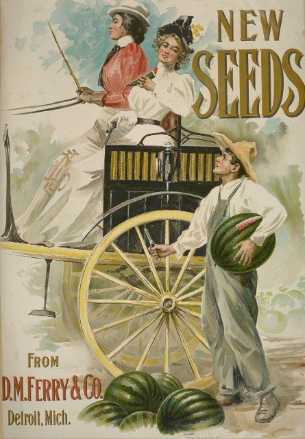 New seeds, c1895 - 1917