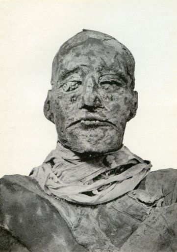 Head of the mummy of Rameses III, Ancient Egyptian pharaoh of the 20th Dynasty, c1156 BC (1926). Rameses III ruled Egypt from 1187 until 1156 BC. He is regarded as the last great pharaoh of the New Kingdom of Ancient Egypt. A print from Kings and Queens of Ancient Egypt, portraits by Winifred Brunton, Hodder and Stoughton, London, 1926.