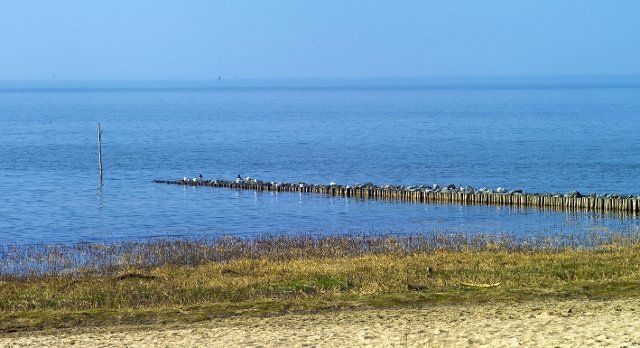 Groyne on the North Sea coast in Cuxhaven Sahlenburg, Cuxhaven district, Germany