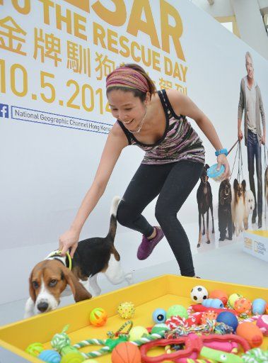 An attendee and her dog take part in a game as they await dog whisperer Cesar Millan\