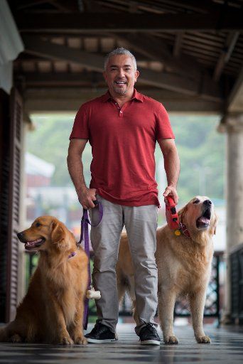 Cesar Millan, a Mexican American dog trainer, poses for a photograph in Stanley Plaza. Millan is a self-taught dog expert and is widely known for his television series Dog Whisperer with Cesar Millan. Millan was talking about dog behaviour at the ...