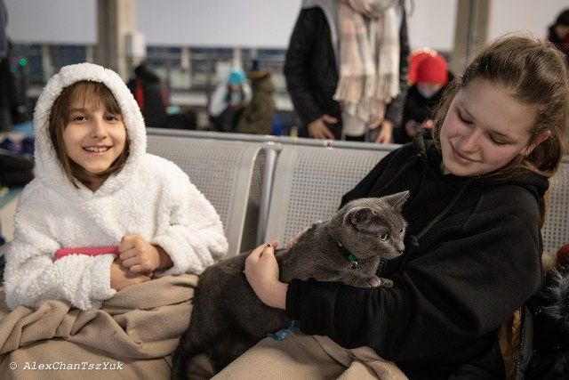 Two children play with their cat in Warszawa Centralna Railway station after fleeing the current war crisis in Ukraine. As war crisis in Ukraine continues, millions of Ukrainians have been fled from their homeland to Poland, most of them are women and children. Most of them temporarily resting in railway stations in Warsaw and awaiting for settling down. According to UN agency, the numbers of refugee migration have hit 1.5 million, which is the fastest-ever since the Second World War. The Polish government have announced a plan of 8 billion zloty ($1.7 billion) to aid the refugees. (Photo by Alex Chan Tsz Yuk \/ SOPA Images\/Sipa USA