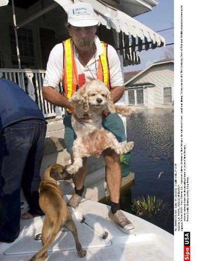 5 Sept 2005 - New Orleans LA - Hurricane Katrina aftermath. New Orleans. Animal rescue boat. Local man Jimmy Delery assists the The Kentucky Dept of Fish and Wildlife resources team as he rescues animals from the devastating floods in Uptown New ...