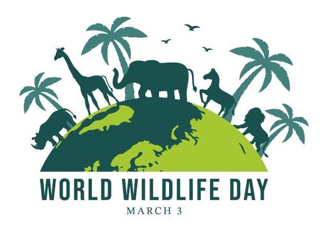 World Wildlife Day on March 3rd to Raise Animal Awareness,  Plant and Preserve Their Habitat in Forest in Flat Cartoon Hand Drawn Template Illustration