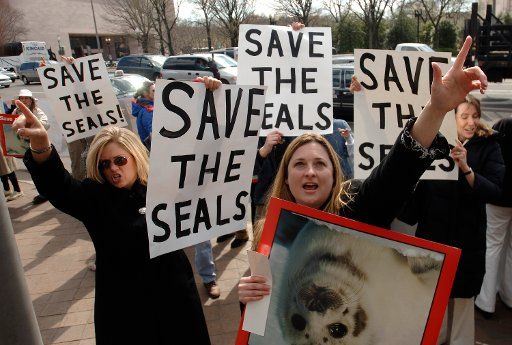 Demonstrators protest the annual Canadian seal hunt in a Greenpeace rally in front of the Canadian Embassy in Washington on March 15 2005. (UPI Photo\/Kevin Dietsch)