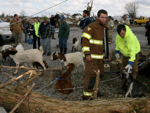 Emergency response personnel corral several goats amongst the remains of property damaged by storms on Tuesday night in Macon County Tennessee on February 6 2008. (UPI Photo\/Frederick Breedon IV)