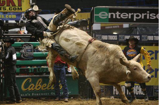 Dustin Hall of Springfield Missouri gets flung off of the bull China Grove during the final day of the Professional Bull Riders Enterprise Invitational at the Scottrade Center in St. Louis on February 24 2008. (UPI Photo\/Bill Greenblatt)