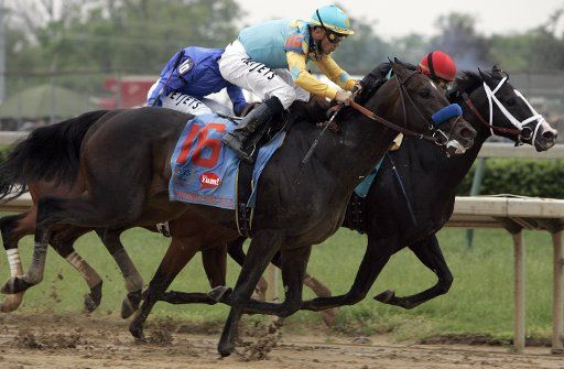 Jockey Garrett Gomez riding Pioneer of the Nile moves up to take second place in the 135th running of the Kentucky Derby at Churchill Downs in Louisville KY. on May 2 2008. (UPI Photo\/Mark Cowan)