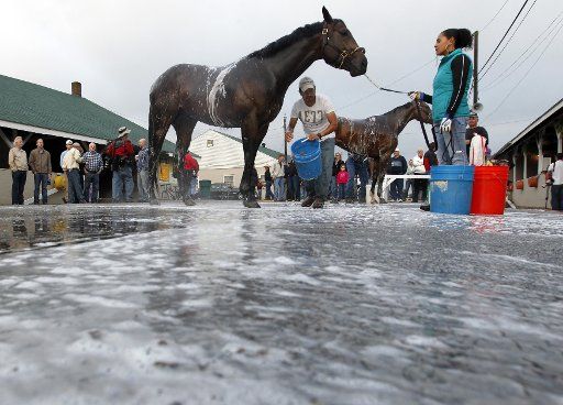 A horse gets a bath after a morning workout at Churchill Downs in Louisville, Kentucky, April 30, 2014. (UPI Photo\/John Sommers II)