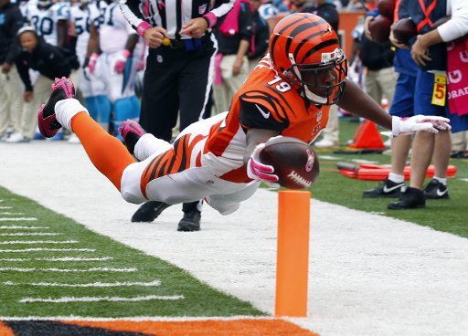 Cincinnati Bengals wide receiver Brandon Tate (19) dives in for the touchdown during the first half of play against the Carolina Panthers in their NFL game at Paul Brown Stadium in Cincinnati, Ohio, October 12, 2014. (UPI Photo\/John Sommers II)