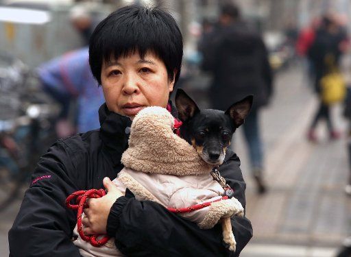 A Chinese woman carries her \