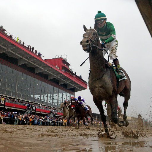 Exaggerator, ridden by Kent Desormeaux, wins the 141st running of the Preakness Stakes at Pimlico Race Course in Baltimore, Maryland, on May 21, 2016. Photo by Mark Abraham\/