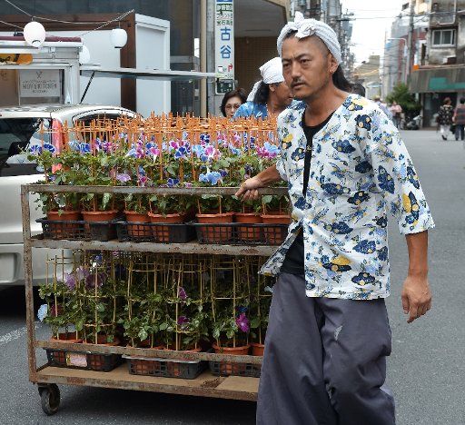 A vendor carries pots of morning glory during the opening day of the Morning Glory Fair "Asagao-Ichi" in Tokyo, Japan on July 6, 2017. Photo by Keizo Mori\/