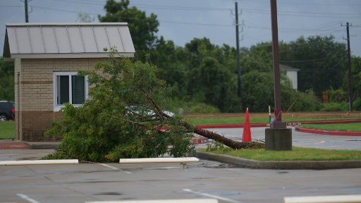 A tree downed by a tornado is seen in the Sienna Plantation Subdivision during Hurricane Harvey, in Missouri City, Texas on August 26, 2017. Photo by Jerome Hicks\/