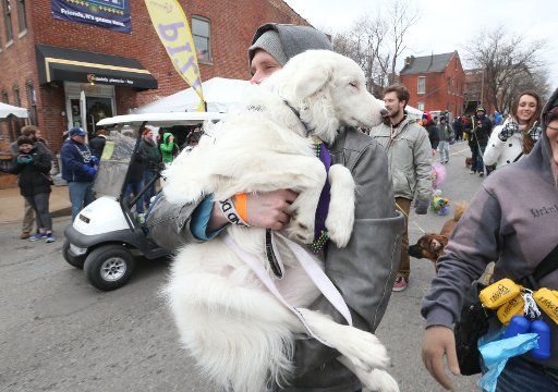 a parade goer carries his tired dog during the Mardi Gras Pet Parade in St. Louis on February 4, 2018. Hundreds of dogs walked with their owners in 20 degree temperatures. Photo by Bill Greenblatt\/
