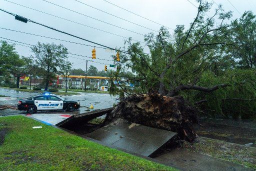 A police car investigates a fallen tree following Hurricane Florence September 14, 2018 in Wilmington, North Carolina. Florence, a category 1 storm hit the coast between South and North Carolina. Photo by Ken Cedeno\/