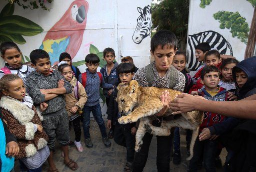 A Palestinian school boy holds a lion cub along a street in Rafah in the southern Gaza Strip on Tuesday, December 3, 2019. Photo by Ismael Mohamad\/