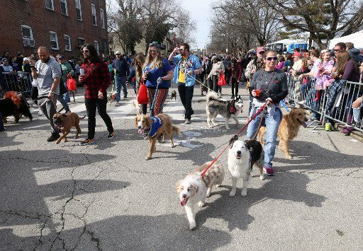 Hundreds of dog owners walk their animals down the parade route during the Purina Pet Parade in St. Louis on Sunday, February 16, 2020. The pet parade is the largest one of its kind in the world. Photo by Bill Greenblatt\/