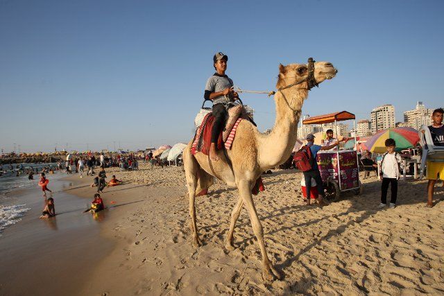A Palestinian man rides a camel along the shores in Gaza City on Friday, June 24, 2022. Photo by Ismael Mohamad