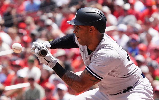 New York Yankees Aaron Hicks attempts a bunt in the second inning against the St. Louis Cardinals at Busch Stadium in St. Louis on Sunday, August 7, 2022. Photo by Bill Greenblatt
