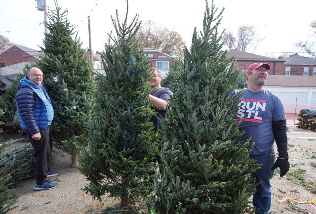 Customers wait with their trees to be priced at Ted Drewes Christmas Tree sales in St. Louis on Saturday November 26, 2022. Ted Drewes sells 450 different trees from which you can choose. Photo by Bill Greenblatt