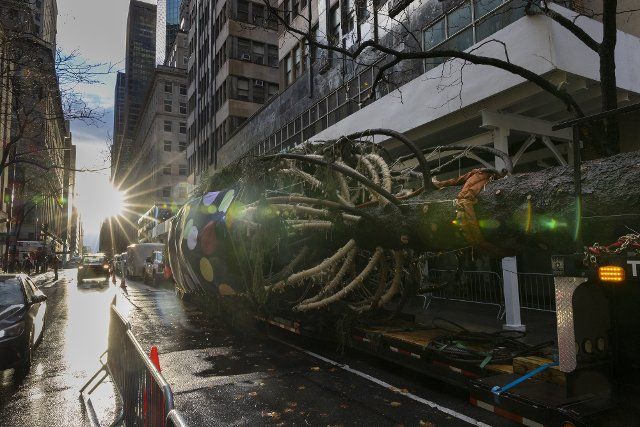 The 82-foot tall, 50-foot in diameter, 14-ton Rockefeller Center Christmas Tree is on a trailer waiting to be lifted into place by a crane in New York on November 12, 2022. The tree was donated by the Lebowitz family from Queensbury, NY. Photo by Corey Sipkin
