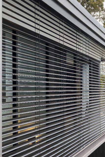 Outdoor blinds. Birchgrove House, Sydney, Australia. Architect: TW Architects, 2021